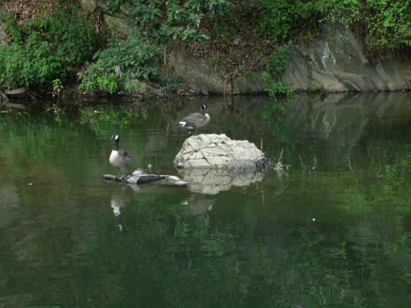 DSCN5936