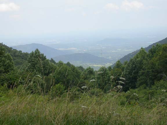 DSCN6029