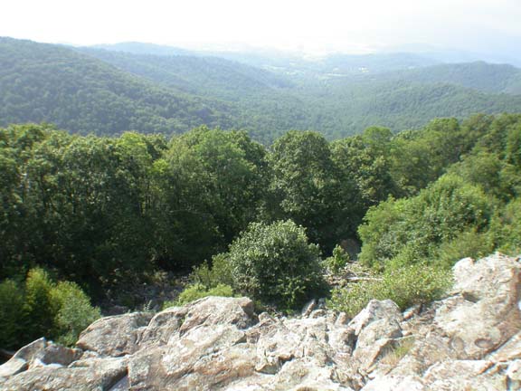 DSCN6038