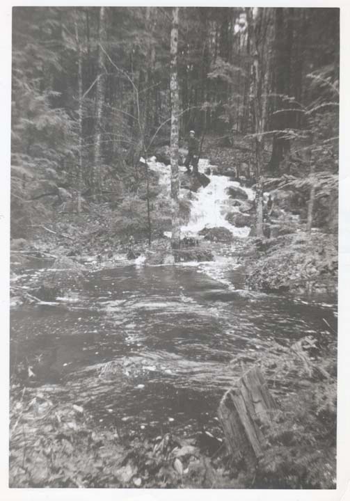 Farm_Brook